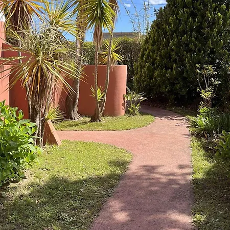 Studio Climatise A Moriani Plage - Terrasse, Jardin Et Proximite Plage - Fr-1-650-18 *